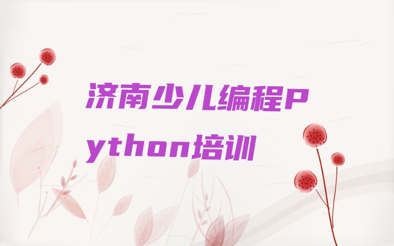 济南济阳区仁风镇少儿编程Python培训学校