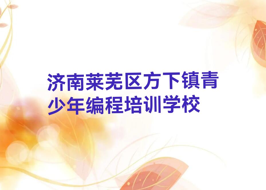 济南莱芜区方下镇青少年编程培训学校