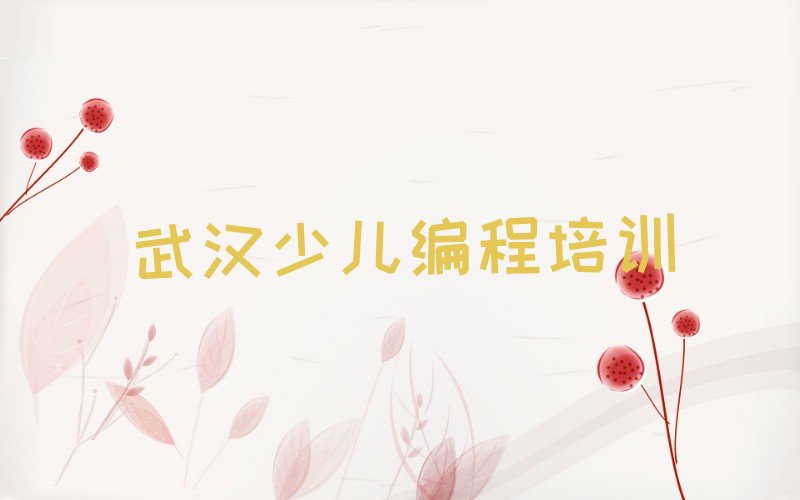 武汉新洲区少儿编程培训班