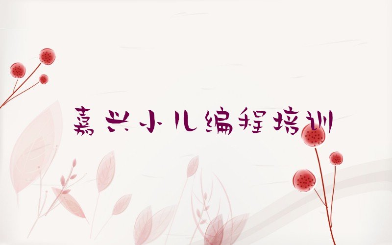 嘉兴南湖区少儿编程培训班