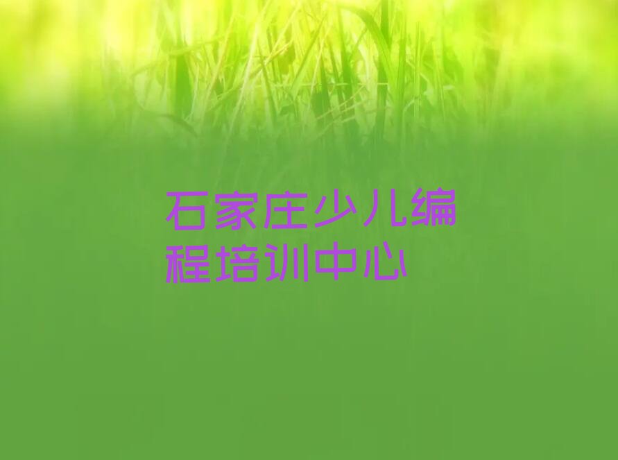 石家庄少儿编程培训中心