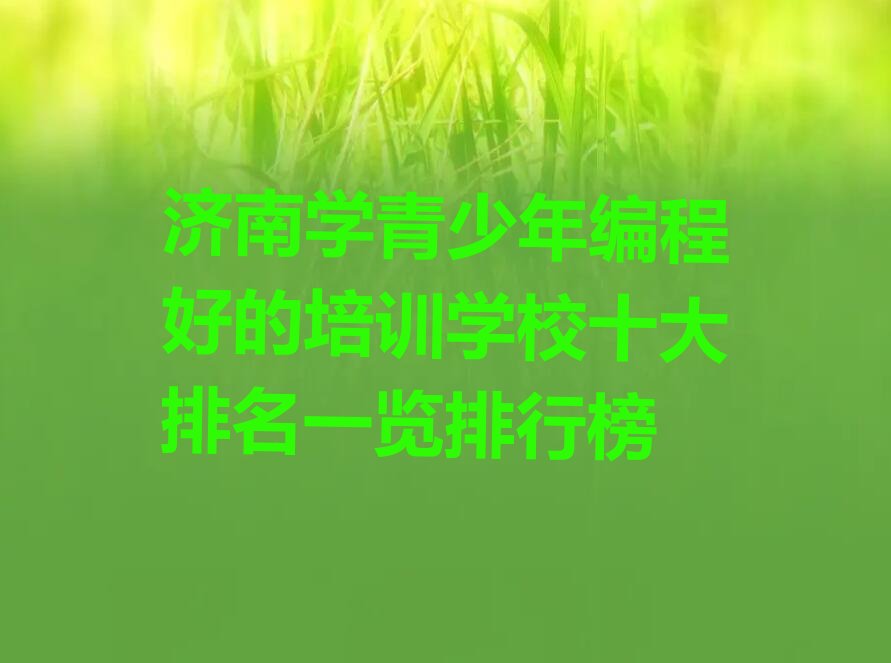 济南莱芜区方下镇青少年编程培训学校
