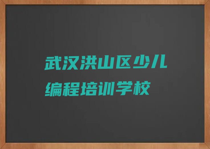 武汉洪山区少儿编程培训学校