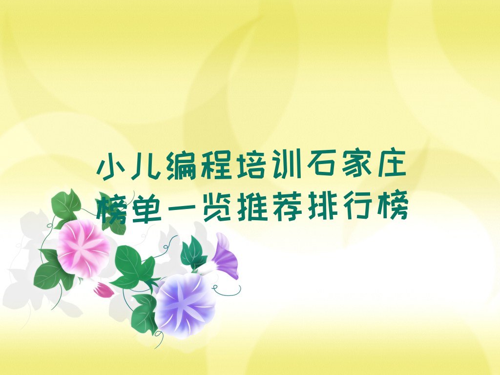 石家庄桥西区小儿编程培训学校