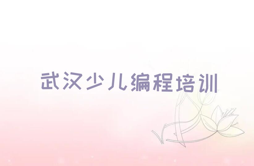 武汉汉阳区建桥街道少儿AI机器人编程培训学校