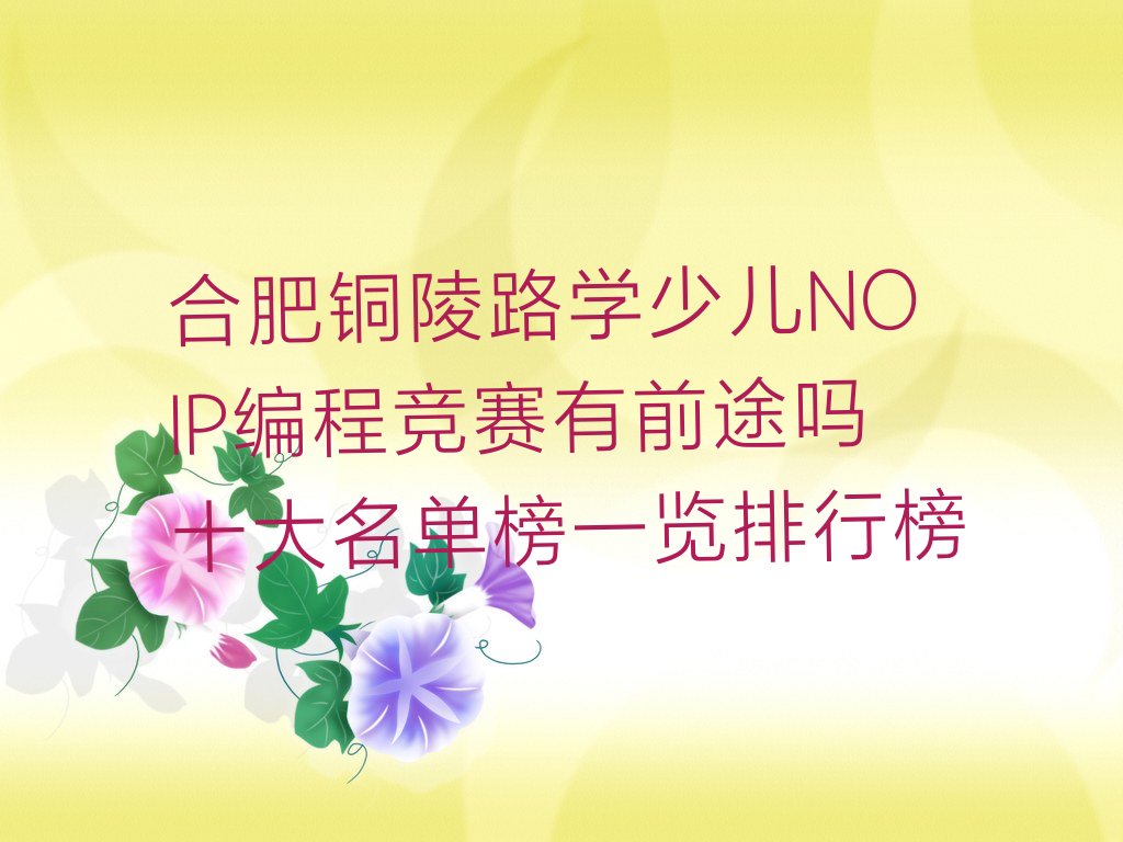 十大合肥铜陵路学少儿NOIP编程竞赛有前途吗十大名单榜一览排行榜排行榜