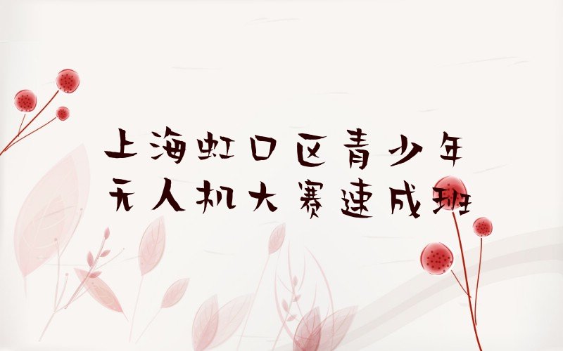 十大上海虹口区青少年无人机大赛速成班排行榜