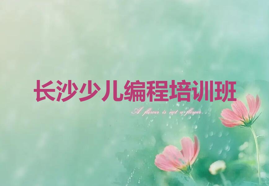 长沙少儿编程培训班