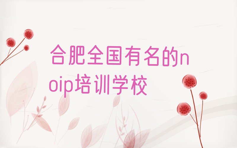 十大合肥全国有名的noip培训学校排行榜