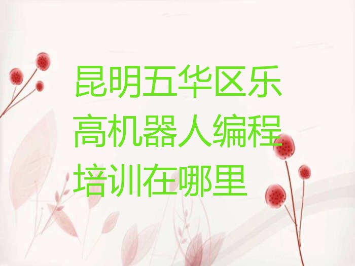 昆明五华区乐高机器人编程培训学校