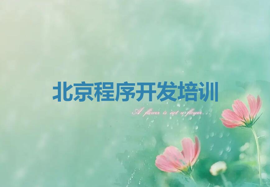 北京朝阳区少儿编程培训班