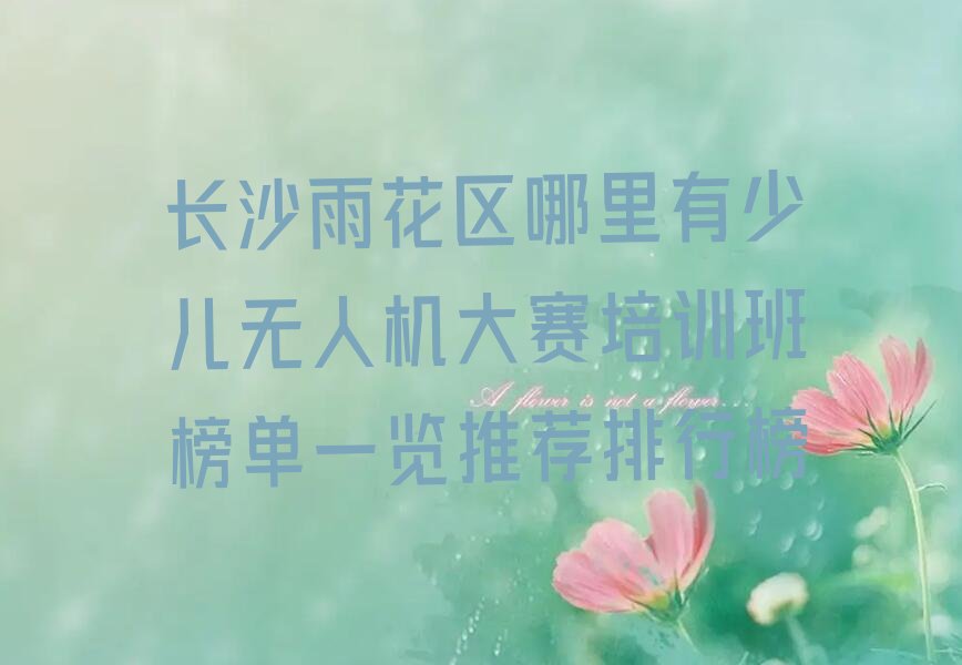 十大长沙雨花区哪里有少儿无人机大赛培训班榜单一览推荐排行榜排行榜