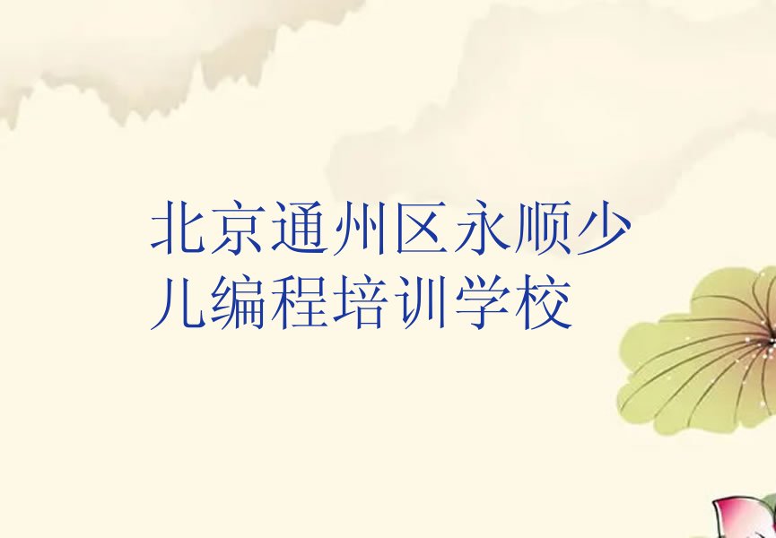 北京通州区永顺少儿编程培训学校