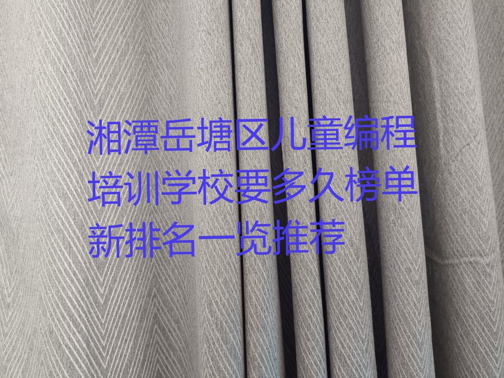 湘潭岳塘区荷塘街道少儿编程培训学校