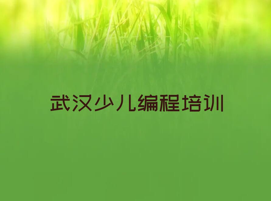 武汉NOIP信息学奥赛培训学校