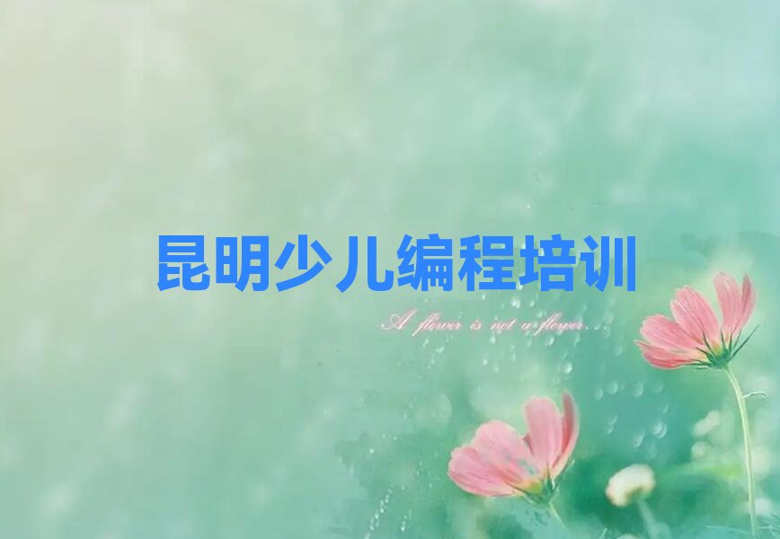 昆明官渡区少儿编程培训中心