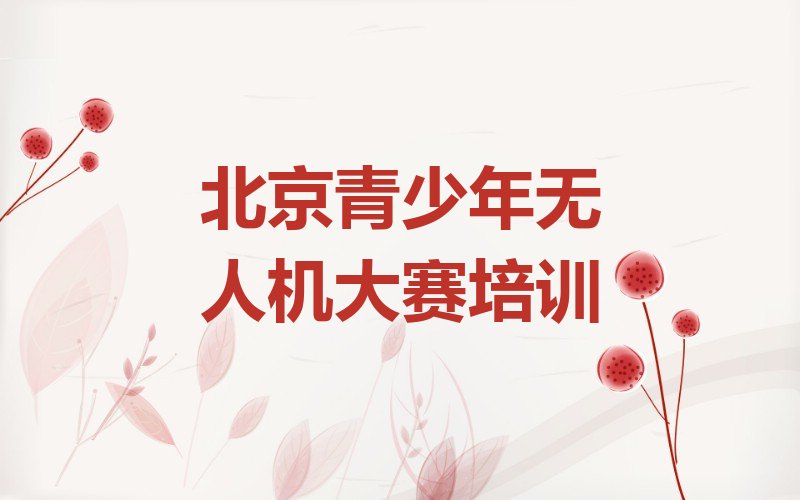 十大2024北京黄村青少年无人机大赛教学十大名单榜一览排行榜排行榜