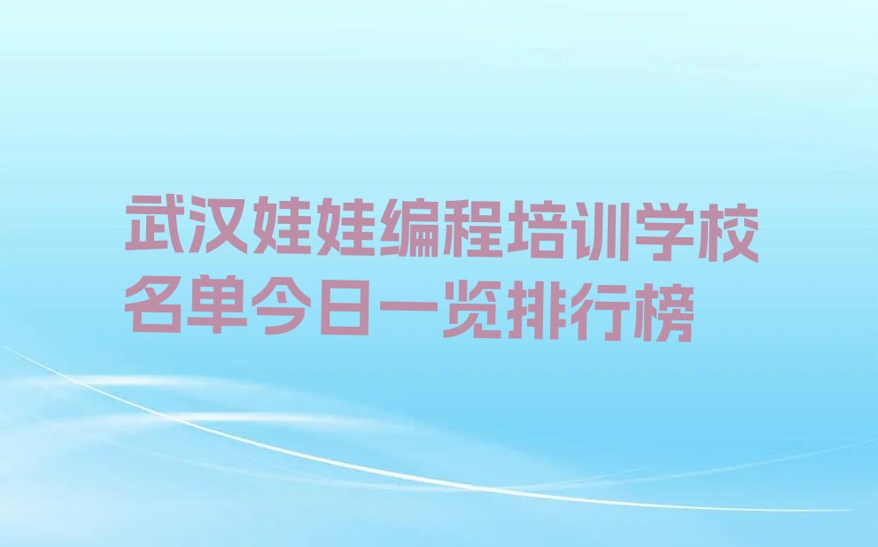 武汉东西湖区娃娃编程培训学校