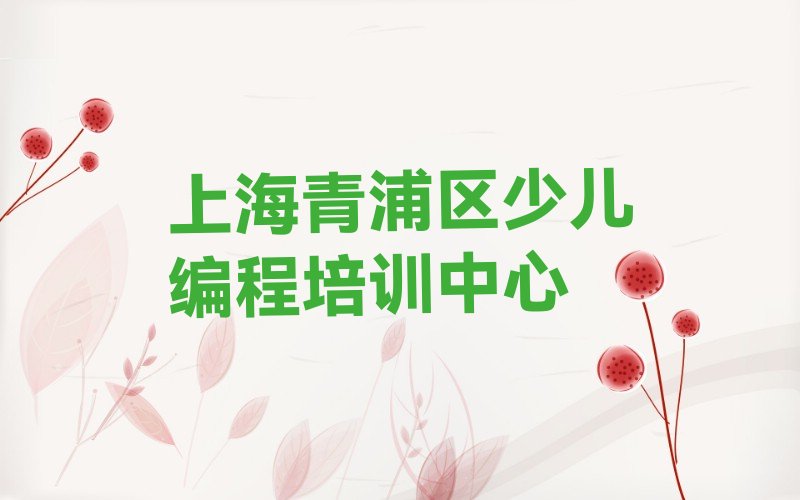 上海青浦区少儿编程培训中心