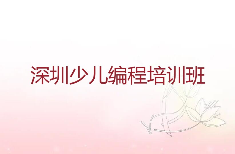 深圳少儿编程培训班