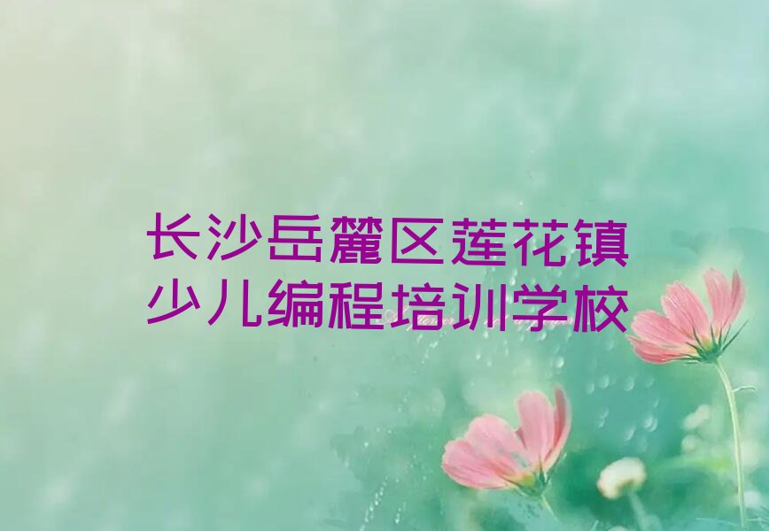 长沙岳麓区莲花镇少儿编程培训学校