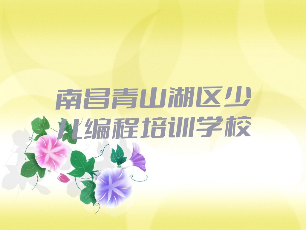 南昌青山湖区少儿编程培训学校