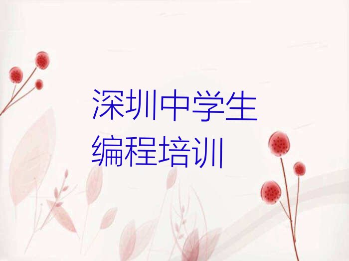 深圳南山区中学生编程培训学校