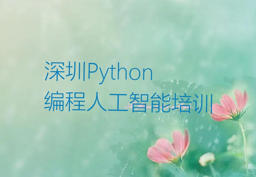 十大2024Python编程人工智能培训深圳海山街道名单精选一览排行榜排行榜