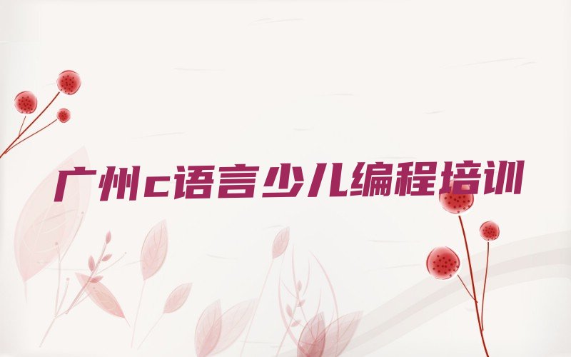 广州从化区少儿编程培训中心