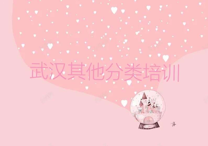 十大武汉江夏区学少儿无人机大赛上什么学校排行榜
