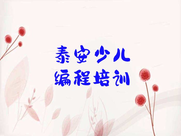 泰安泰山区财源街道少儿编程培训学校