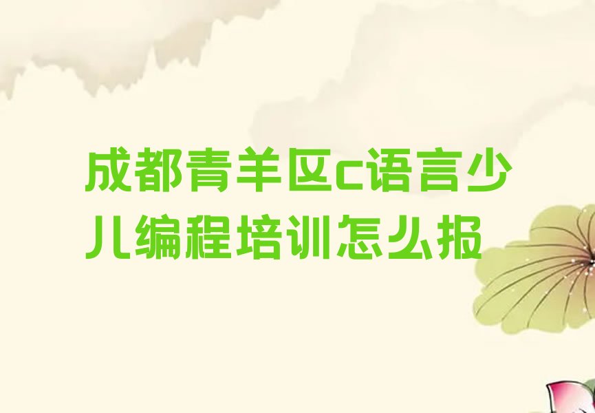 成都青羊区少儿编程培训