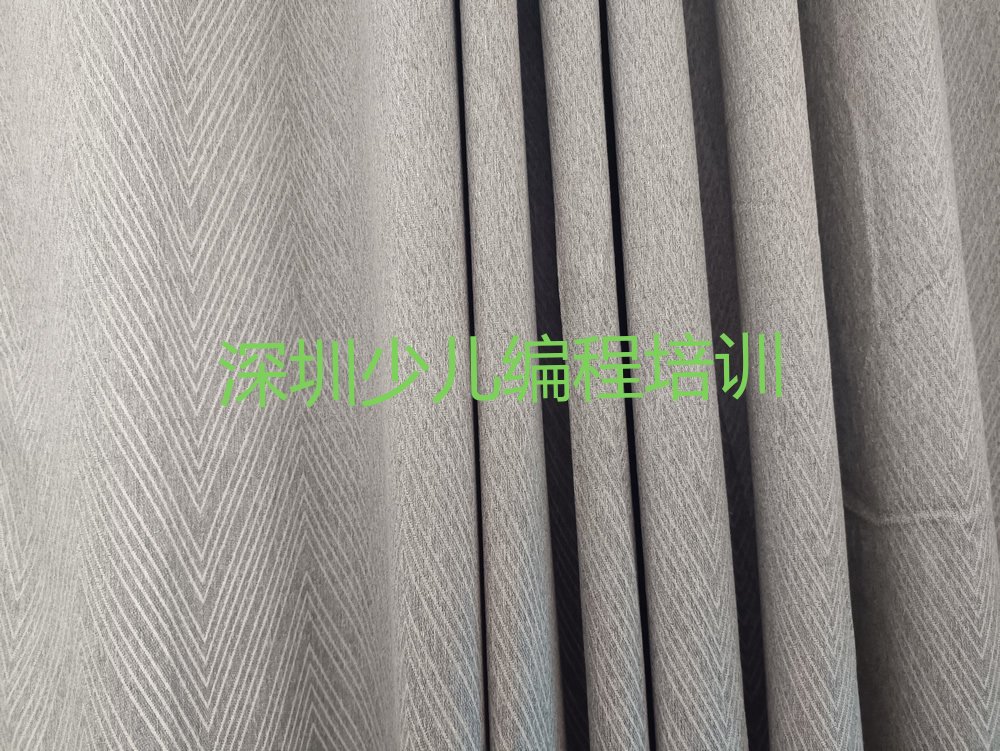 深圳坪山区小孩编程培训学校