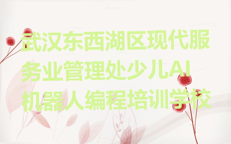 武汉东西湖区现代服务业管理处少儿AI机器人编程培训学校