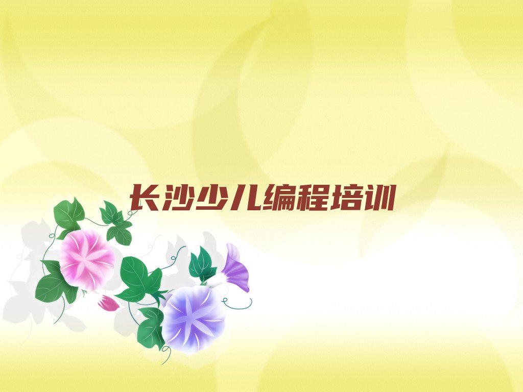 十大长沙岳麓区有名的孩子编程培训排行榜