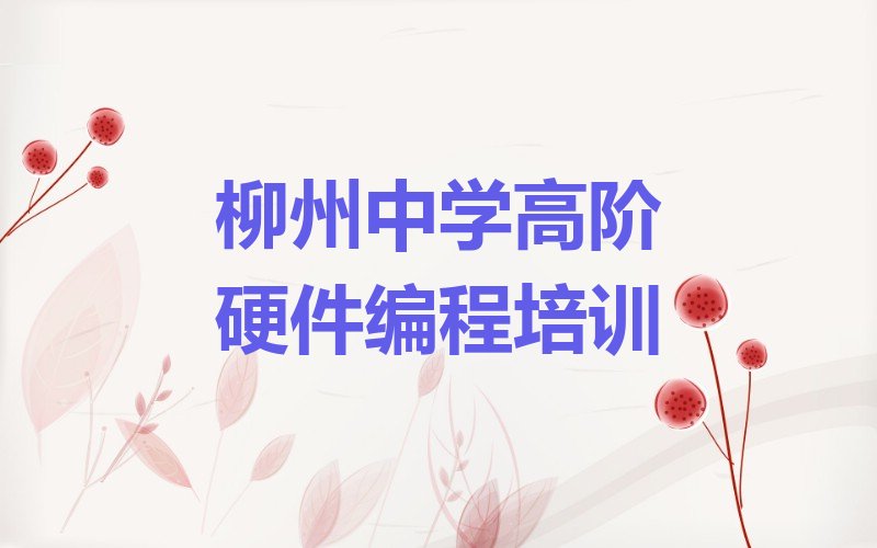 柳州柳江区里高镇少儿编程培训学校