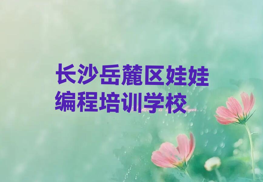长沙岳麓区娃娃编程培训学校