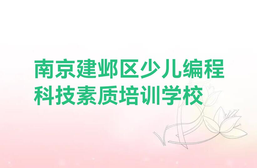 南京建邺区少儿编程科技素质培训学校