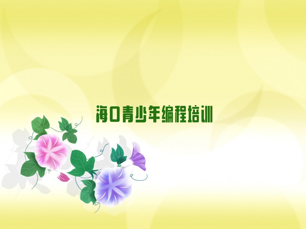 海口美兰区少儿编程培训班