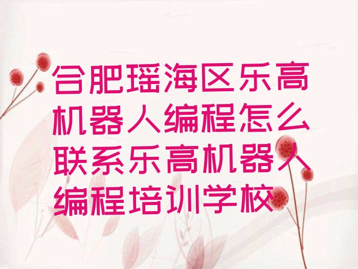 合肥乐高机器人编程培训学校