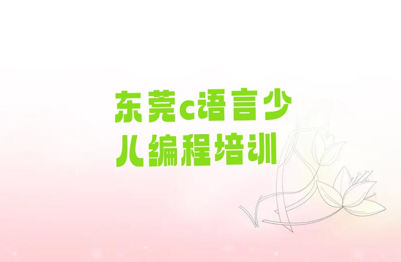 东莞少儿编程培训中心