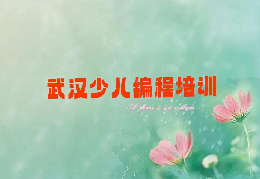 十大武汉江汉区儿童编程培训班一般什么时间上课呀排行榜