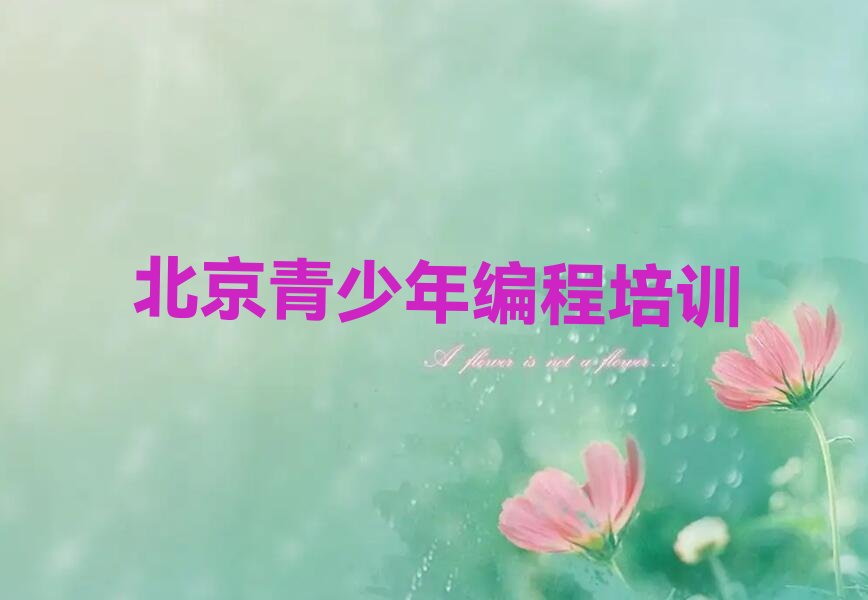 北京朝阳区少儿编程培训学校