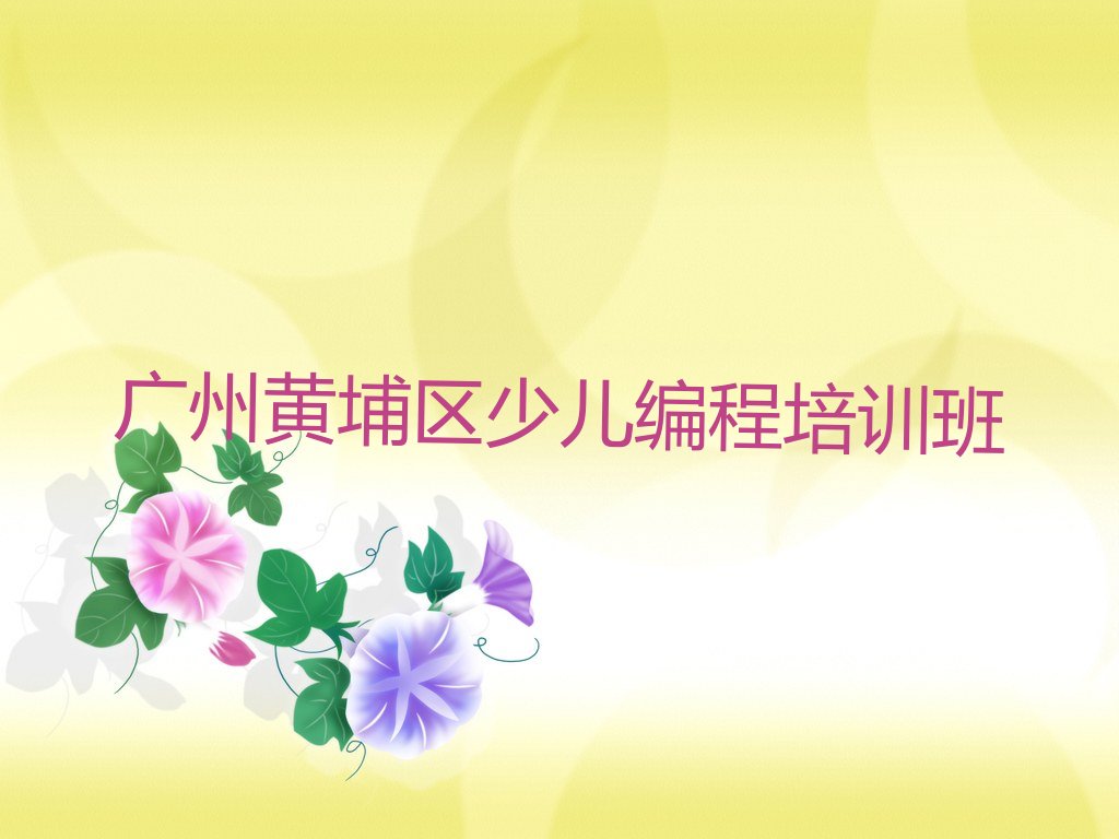 广州黄埔区少儿编程培训班