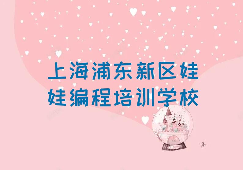 上海浦东新区娃娃编程培训学校