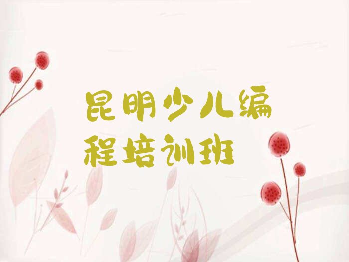 昆明少儿编程培训班