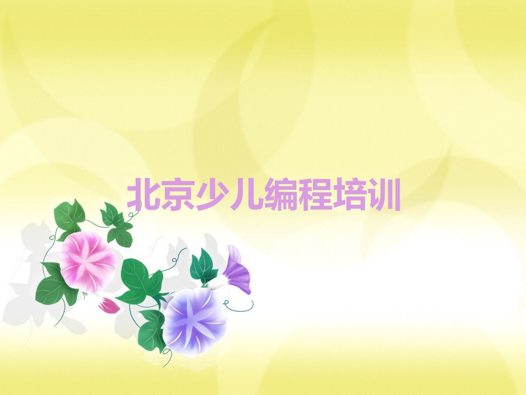 少儿AI机器人编程