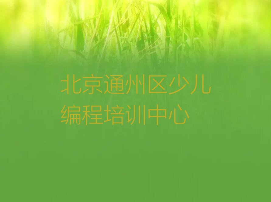 北京通州区少儿编程培训中心