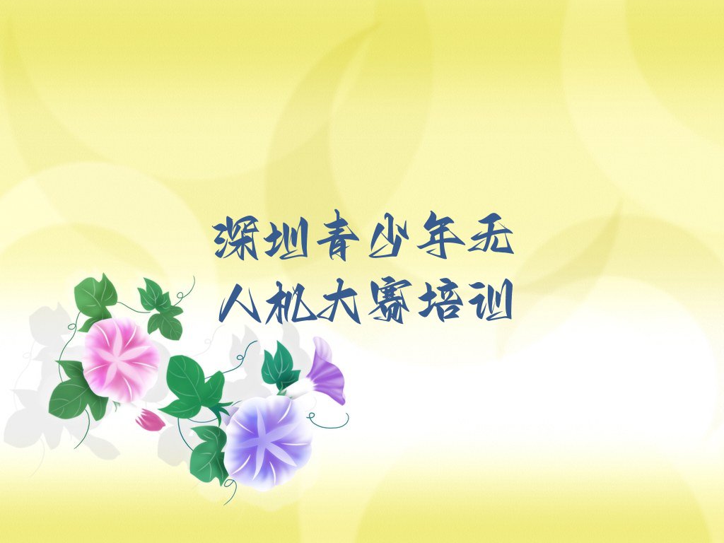 深圳盐田区青少年无人机大赛培训学校