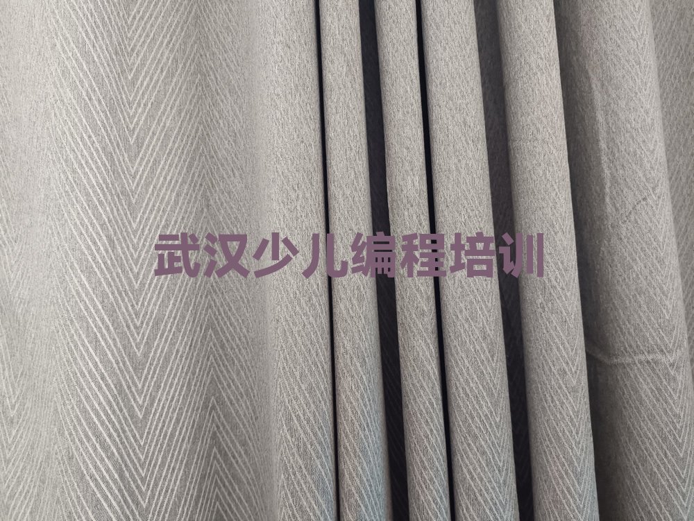 十大武汉武昌区小儿编程培训班时间安排表排行榜